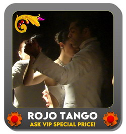 Tango Show Buenos Aires Rojo Tango more info
